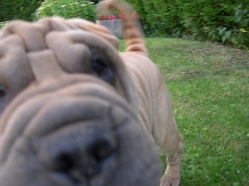 site rencontre famille recomposée